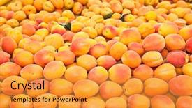  Presentation with apricot - Presentation design with fresh-apricot-at-a-farmers background and a gold colored foreground