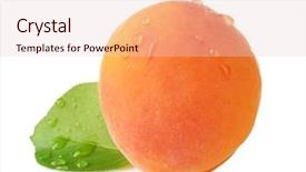  Presentation with apricot - Slides with fresh apricot on white background background and a lemonade colored foreground