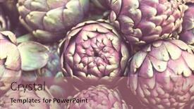  Presentation with nano diagnosis market - Slide deck enhanced with fresh-artichokes-and-tomatoes background and a coral colored foreground