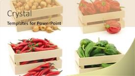  Presentation with cooking - Cool new slide set with fresh-assorted-cooking-vegetables backdrop and a coral colored foreground