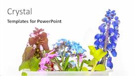  Presentation with flowers vase - Cool new PPT theme with fresh-assorted-flowers-in-water backdrop and a white colored foreground