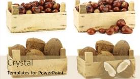  Presentation with fruits - Presentation theme enhanced with fresh-assorted-hard-shelled-fruits background and a yellow colored foreground