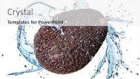  Presentation with fresh avocado - Audience pleasing presentation theme consisting of fresh avocado with water splash over white background backdrop and a white colored foreground