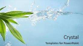  Presentation with water bamboo - Amazing presentation theme having fresh bamboo leaf in water backdrop and a light blue colored foreground