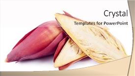  Presentation with banana - Amazing presentation design having blonde pretty woman cool dressed standing on a blue background backdrop and a teal colored foreground