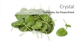  Presentation with winter - Presentation design with fresh-barbarea-or-winter-cress background and a white colored foreground