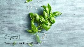  Presentation with pink himalayan salt himalayan salt - Cool new slide deck with fresh-basil-and-pink-himalayan backdrop and a light blue colored foreground