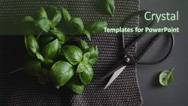  Presentation with herb - Theme enhanced with fresh-basil-herb-on-grey background and a tawny brown colored foreground