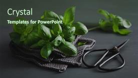  Presentation with herb - Presentation having fresh-basil-herb-on-grey background and a tawny brown colored foreground