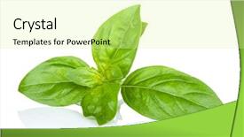  Presentation with fresh water splash green apple isolated white - Slide set enhanced with fresh-basil-isolated-on-white background and a blonde colored foreground