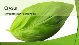  Presentation with fresh water splash green apple isolated white - Cool new presentation theme with fresh basil leaf isolated backdrop and a yellow colored foreground