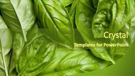  Presentation with leaves - PPT theme having fresh basil leaves background background and a tawny brown colored foreground