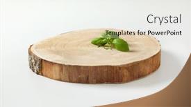  Presentation with live - Slide deck having fresh-basil-leaves-on-natural background and a white colored foreground