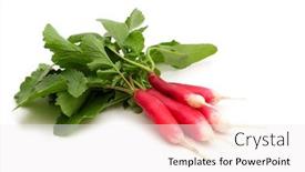  Presentation with bio - Colorful PPT theme enhanced with fresh-bio-long-radish backdrop and a sky blue colored foreground