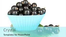  Presentation with currant - Slide set with fresh black currant in silicone mold isolated on white background and a arctic colored foreground