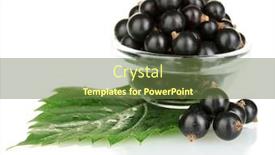  Presentation with currant - Slide set consisting of fresh-black-currant-in-transparent background and a tawny brown colored foreground