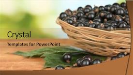  Presentation with currant - Amazing presentation theme having fresh black currant in wicker backdrop and a  colored foreground