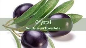  Presentation with olive - Theme with fresh-black-olive-berries background and a tawny brown colored foreground