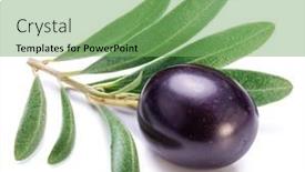  Presentation with olive - PPT theme with fresh-black-olive-berry background and a seafoam green colored foreground