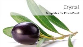  Presentation with olive - Presentation theme with fresh-black-olive-berry background and a white colored foreground
