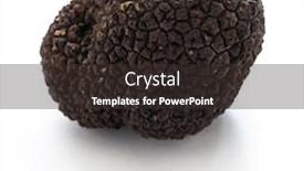  Presentation with black and white checker - Slides having fresh-black-truffle-isolated background and a tawny brown colored foreground