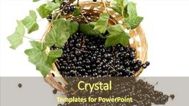  Presentation with blackcurrant - Audience pleasing presentation theme consisting of fresh blackcurrant in a basket on a white background backdrop and a tawny brown colored foreground