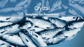  Presentation with salmon fish - Audience pleasing theme consisting of fresh blue toned fish salmon backdrop and a teal colored foreground