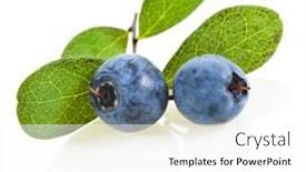  Presentation with blueberries - Presentation theme featuring fresh blueberries with green leaves close up macro isolated on white background background and a white colored foreground