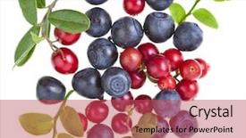  Presentation with frozen foods raspberry blueberry cranberry - Colorful PPT layouts enhanced with fresh blueberry and cranberry isolated backdrop and a red colored foreground