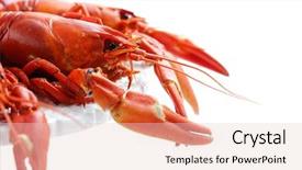  Presentation with red boiled crawfish food - Amazing slide deck having fresh boiled crawfish on white backdrop and a  colored foreground