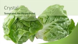  Presentation with fresh lettuce strawberries blueberries mushroom - Beautiful theme featuring fresh boston lettuce isolated on white background backdrop and a mint green colored foreground