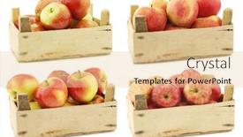  Presentation with dutch - Presentation theme consisting of fresh-braeburn-apples-new-dutch background and a lemonade colored foreground