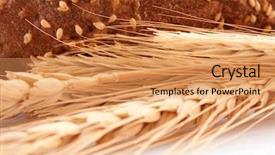  Presentation with bread - Slide set enhanced with fresh bread over white background background and a  colored foreground