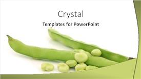  Presentation with broad - Slide deck with fresh broad beans on a white background background and a white colored foreground