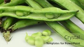  Presentation with broad - Presentation featuring fresh broad beans on a white background background and a mint green colored foreground