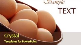  Presentation with cage - Colorful PPT layouts enhanced with fresh brown cage free eggs backdrop and a tawny brown colored foreground
