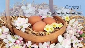  Presentation with rustic spring - PPT theme consisting of fresh-brown-eggs-for-breakfast background and a light blue colored foreground