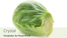  Presentation with brussels - PPT layouts enhanced with fresh-brussels-sprout-isolated background and a mint green colored foreground