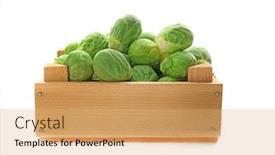  Presentation with brussels - Beautiful theme featuring fresh brussels sprouts in wooden box on white background backdrop and a coral colored foreground