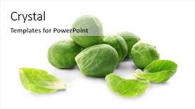  Presentation with sprout - Beautiful PPT layouts featuring fresh brussels sprouts isolated backdrop and a white colored foreground