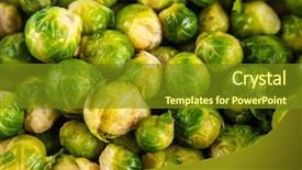  Presentation with sprout - Amazing PPT theme having fresh brussles sprouts backdrop and a tawny brown colored foreground