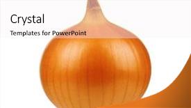  Presentation with onion - Beautiful PPT layouts featuring fresh bulbs of onion not backdrop and a white colored foreground