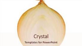  Presentation with onion - PPT theme enhanced with whole cut half - fresh bulbs of onion not background and a lemonade colored foreground