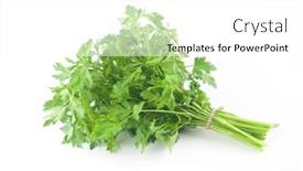  Presentation with healthy eating - PPT layouts featuring fresh-bunch-green-parsley-bunch background and a white colored foreground
