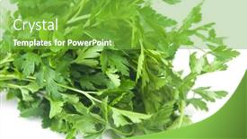  Presentation with element - Cool new presentation with fresh-bunch-green-parsley-bunch backdrop and a seafoam green colored foreground