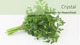  Presentation with healthy eating - Slides featuring fresh-bunch-green-parsley-bunch background and a mint green colored foreground