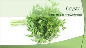 Presentation with healthy eating - PPT theme consisting of fresh-bunch-green-parsley-bunch background and a mint green colored foreground