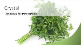  Presentation with element - Theme with fresh-bunch-green-parsley-bunch background and a white colored foreground