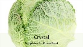  Presentation with cabbage - Colorful presentation theme enhanced with fresh cabbage isolated on white backdrop and a soft green colored foreground