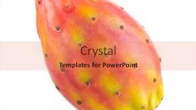  Presentation with pear - Slide deck enhanced with fresh-cactus-fruit-prickly-pear background and a coral colored foreground